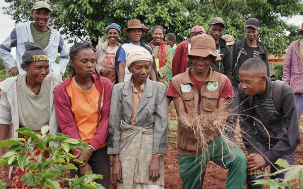 Formation en cascade aux techniques agroécologiques — Région Itasy